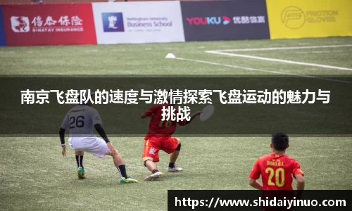南京飞盘队的速度与激情探索飞盘运动的魅力与挑战